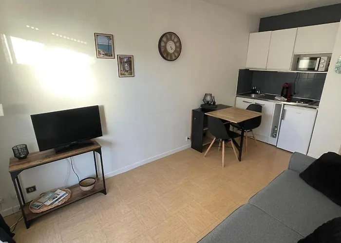 Sur Le Port D'arcachon Apartment *